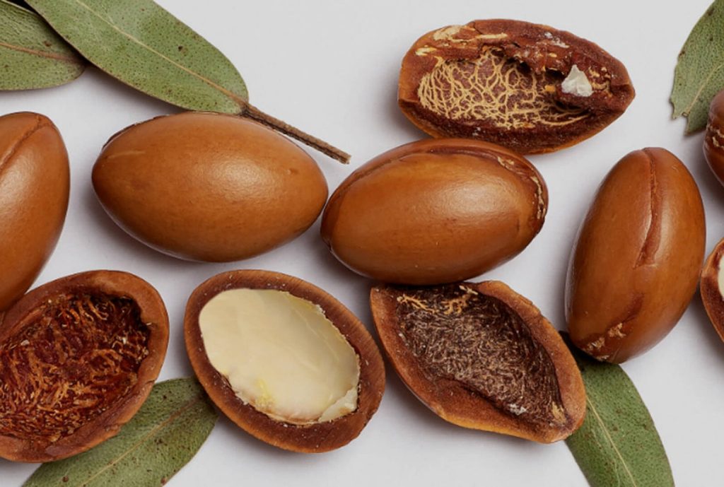 بهترین روغن آرگان برای مو