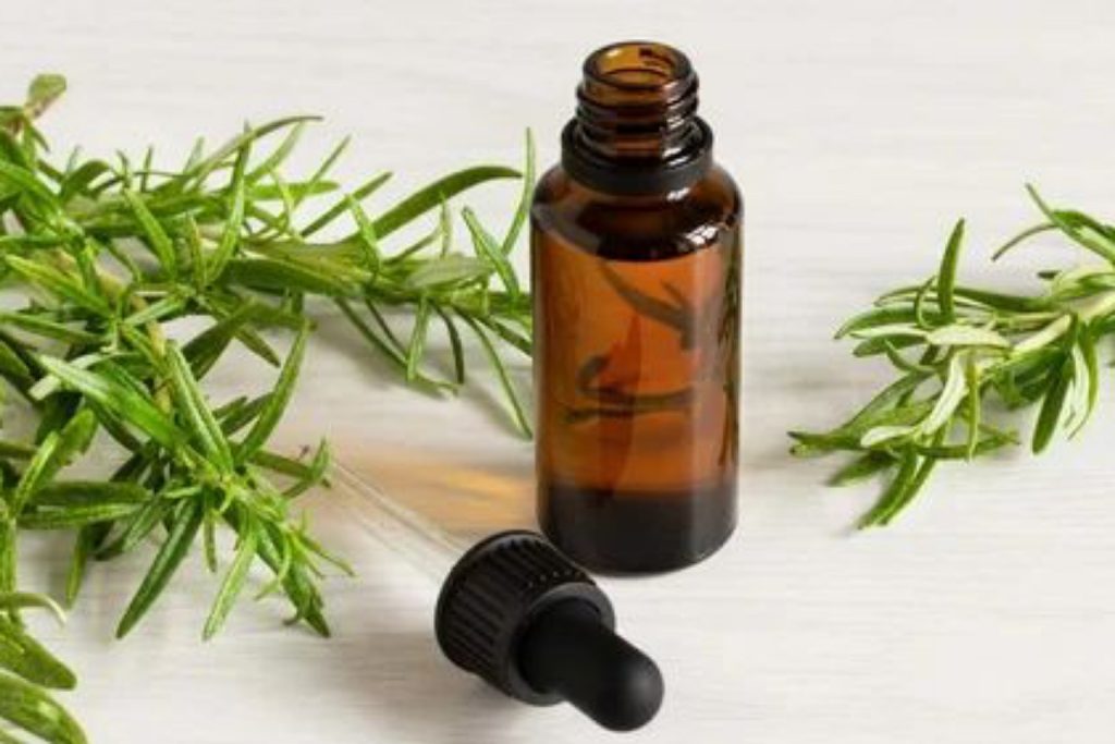 خواص روغن رزماری برای ریشه مو