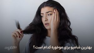 بهترین شامپو برای موخوره کدام است